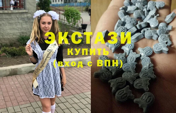 дурь Няндома