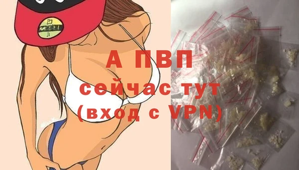 дурь Няндома