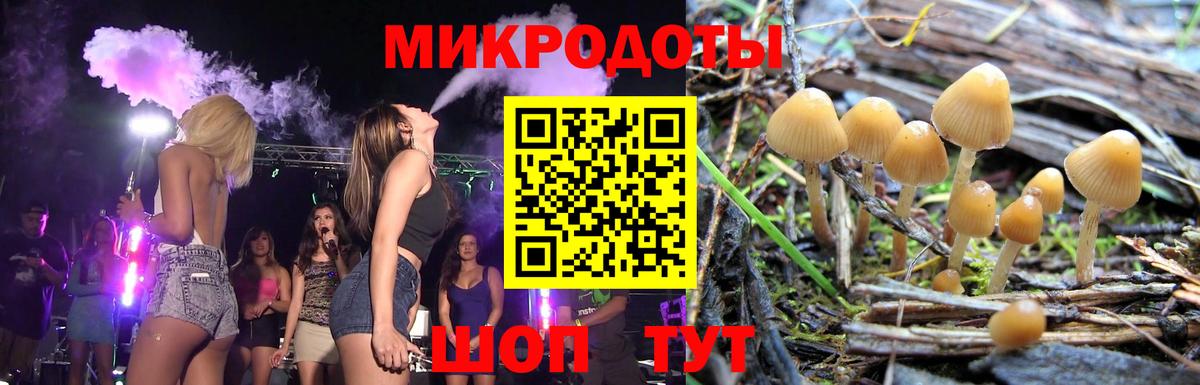 Галлюциногенные грибы Psilocybe  Вход с VPN  Полысаево 