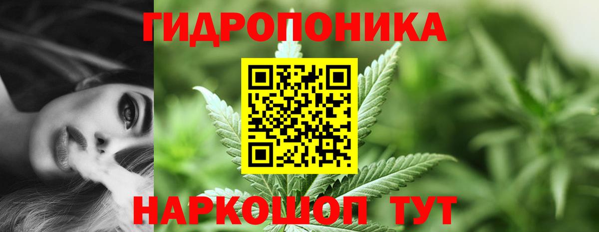 Шишки марихуана гибрид Полысаево